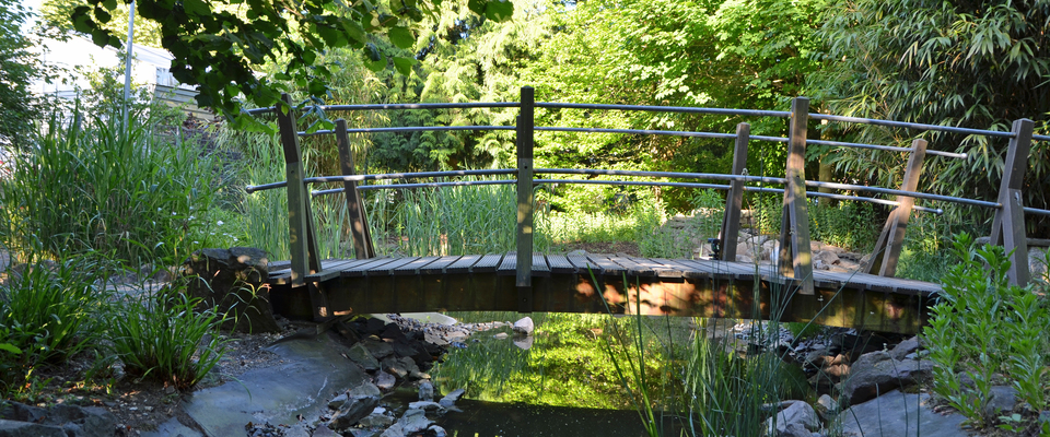 Teichbrücke