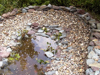 Der Teich ist mit Kiessteinen bestückt und wird mit Wasser beflutet