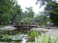 Der fertiggestellte Teich mit Wasserpflanzen